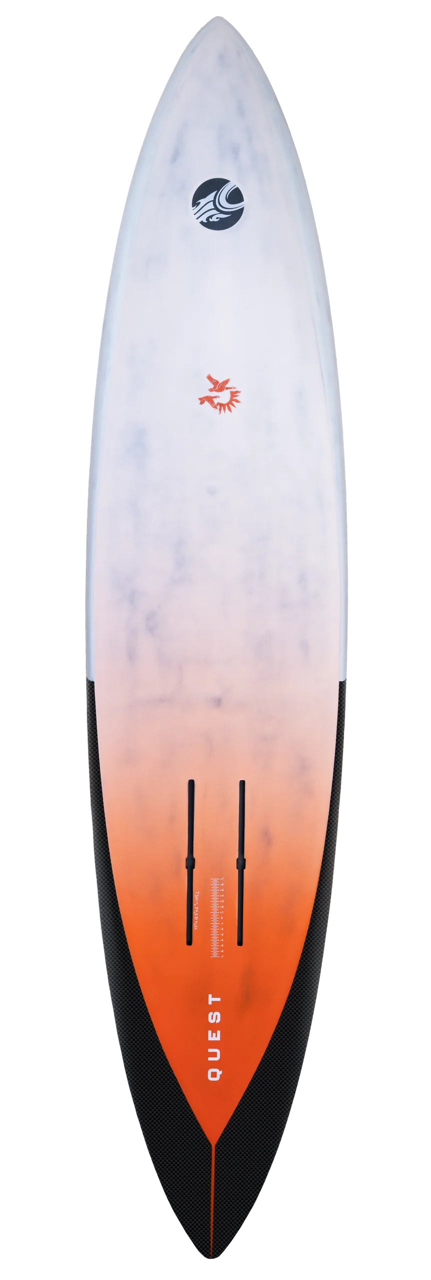 DOWNWIND / PARA WING / WINGFOILING - 2